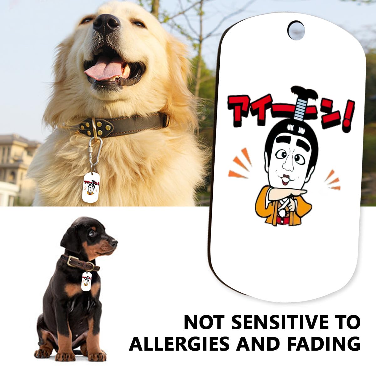 Amazon.co.jp: 志村けん だいじょうぶだぁ 変なおじさん ドッグタグ